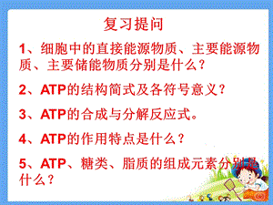 酶在代谢中的作用1.ppt