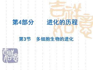 进化的历程3.ppt