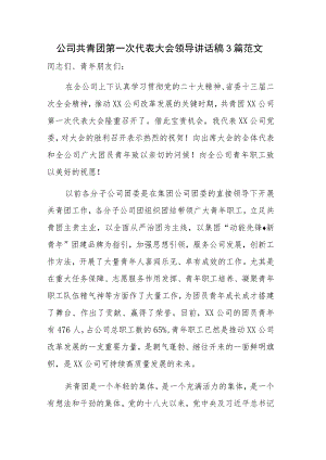 公司共青团第一次代表大会领导讲话稿3篇范文.docx
