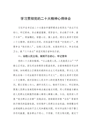 纪检干部关于学习贯彻二十大精神的心得感悟9篇.docx