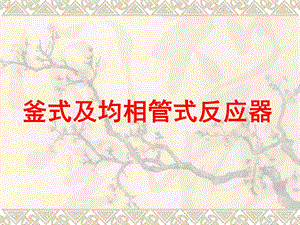 釜式及均相管式反应器.ppt