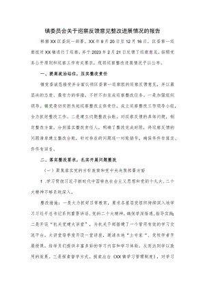 镇委员会关于巡察反馈意见整改进展情况的报告.docx