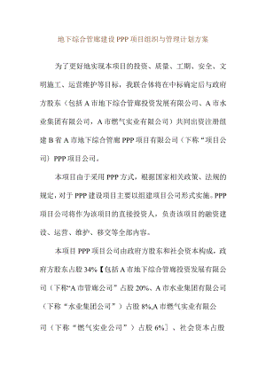 地下综合管廊建设PPP项目组织与管理计划方案.docx