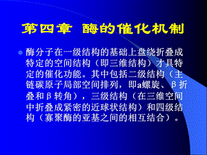 酶的催化机制.ppt