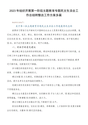 2023年组织开展第一阶段主题教育专题民主生活会工作总结附整改工作方案多篇.docx