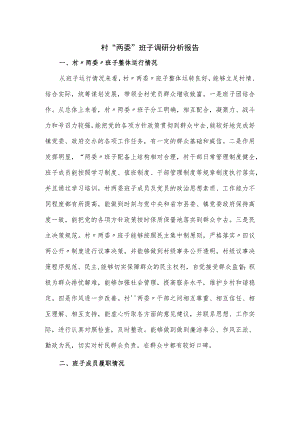 村“两委”班子调研分析报告.docx