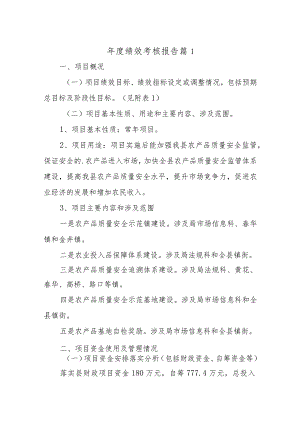 年度绩效考核报告十一篇.docx