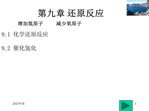 还原反应机理.ppt