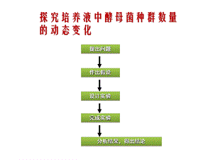 酵母菌种群数量动态变化.ppt