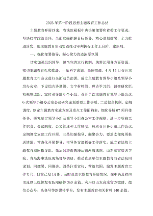2023年第一阶段思想主题教育工作总结.docx