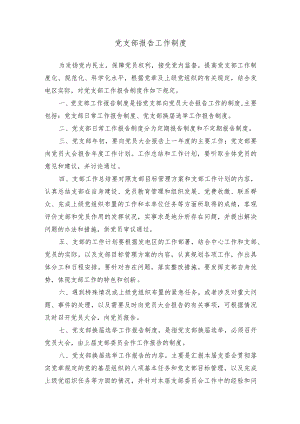 党支部报告工作制度.docx