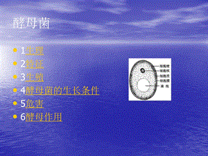 酵母菌学生.ppt