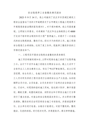 安全隐患停工自查整改情况报告.docx