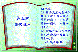 酯化反应机理催化剂酯化方法.ppt