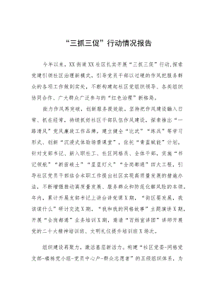 街道社区2023年三抓三促行动情况报告三篇.docx