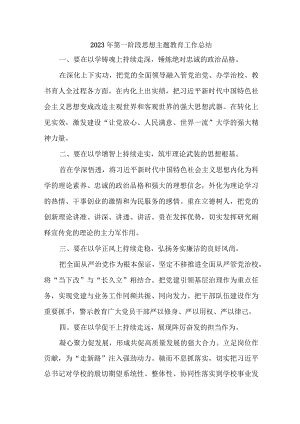 2023年国企第一阶段思想主题教育工作总结（3份）.docx