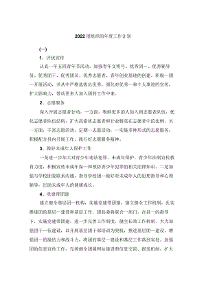 2022团组织的年度工作计划.docx