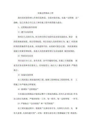实施过程精品工程.docx