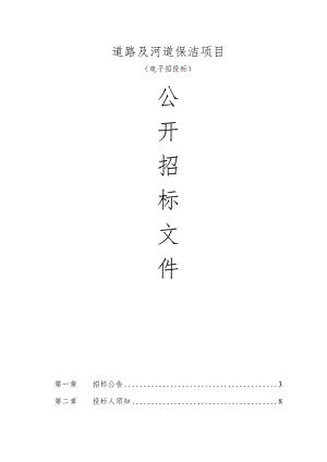 场口新区道路及河道保洁项目招标文件.docx
