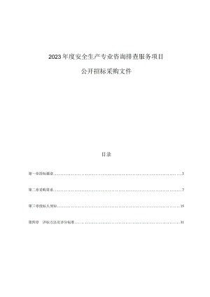 2023年度安全生产专业咨询排查服务项目招标文件.docx
