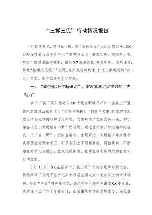 乡镇2023年“三抓三促”行动情况报告三篇.docx