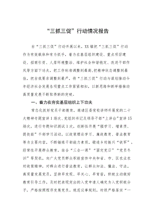 乡镇2023年 “三抓三促”行动工作总结三篇.docx