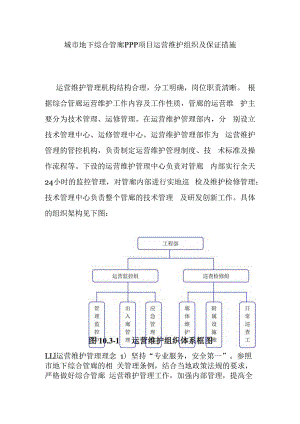 城市地下综合管廊PPP项目运营维护组织及保证措施.docx