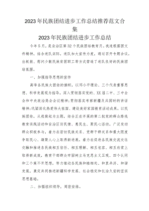 2023年民族团结进步工作总结推荐范文合集.docx