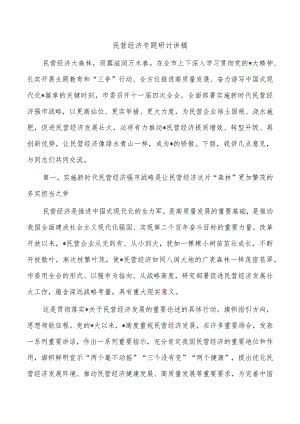 民营经济专题研讨讲稿.docx