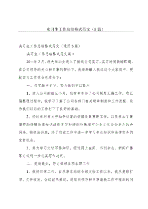 实习生工作总结格式范文（5篇）.docx