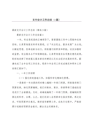 支付会计工作总结（3篇）.docx