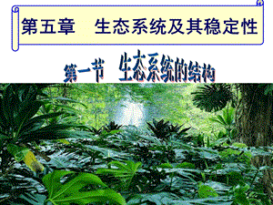 课件制作第一节生态系统的结构.ppt