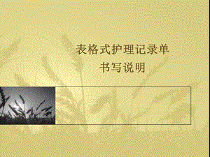 表格式护理记录单ppt课件.ppt