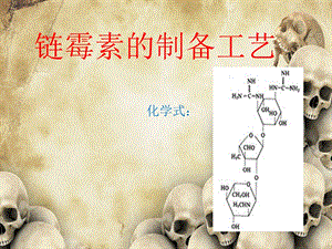 链霉素的制备工艺.ppt