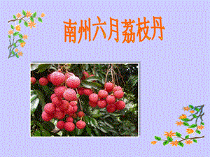 荔枝丹第二课时.pptx