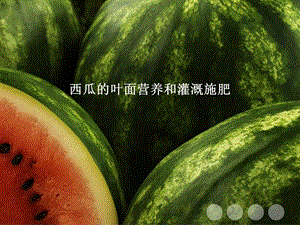 西瓜营养方案.ppt