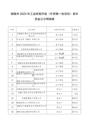 铜陵市2023年工业转型升级外贸第一批项目奖补资金公示明细表.docx