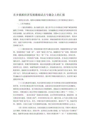 在乡镇抓经济发展激励试点专题会上的汇报 .docx