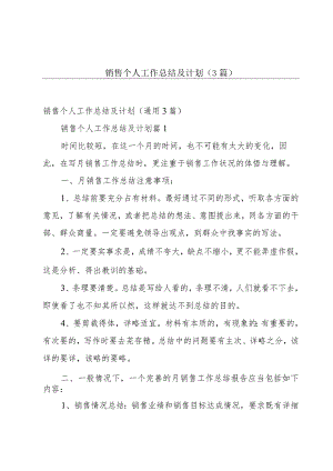 销售个人工作总结及计划（3篇）.docx
