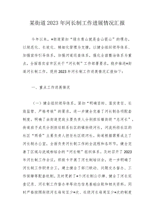 某街道2023年河长制工作进展情况汇报 .docx