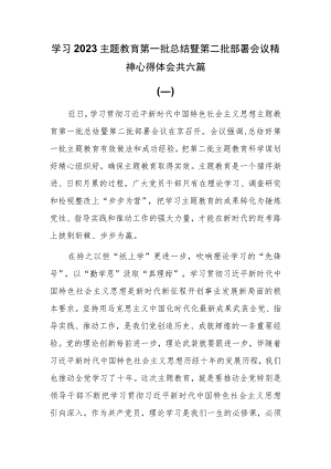 6篇学习2023主题教育第一批总结暨第二批部署会议精神心得体会.docx