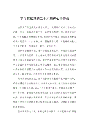派驻纪检监察干部学习贯彻二十大精神心得感悟六篇.docx