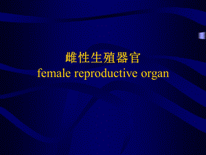 雌性生殖器官.ppt