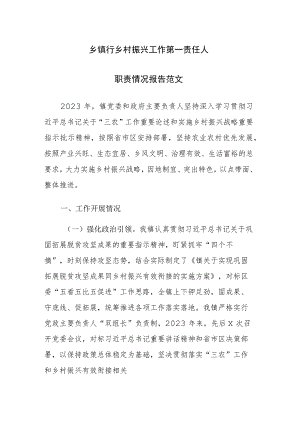 乡镇行乡村振兴工作第一责任人职责情况报告范文 .docx
