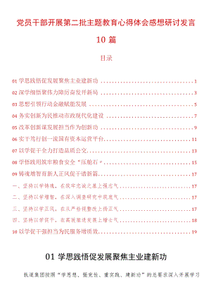党员干部开展第二批主题教育心得体会感想研讨发言10篇.docx