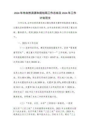2024年市自然资源和规划局工作总结及2024年工作计划范文.docx