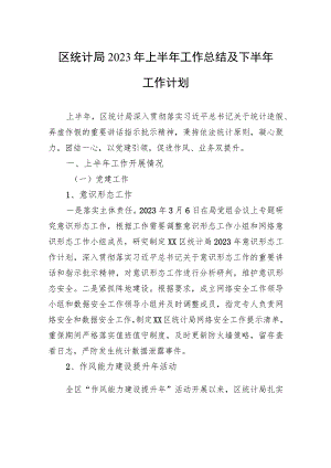 区统计局2023年上半年工作总结及下半年工作计划（20230912）.docx