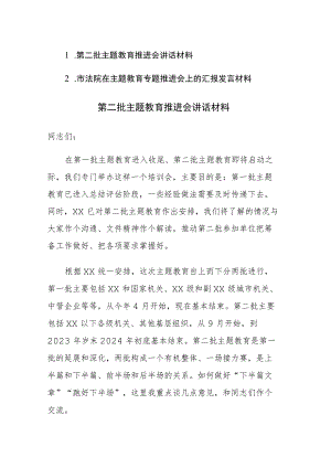 2023年主题教育专题推进会上的讲话发言材料范文2篇.docx