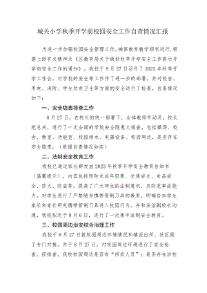 城关小学秋季开学前校园安全工作自查情况汇报.docx