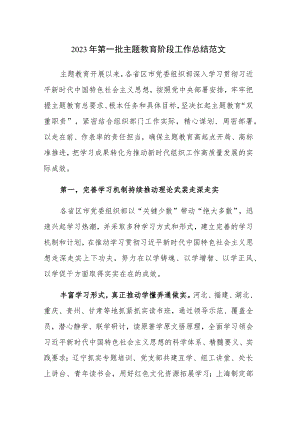 2023年第一批主题教育阶段工作总结范文2篇.docx
